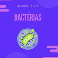 Bactérias vilãs ou mocinhas?