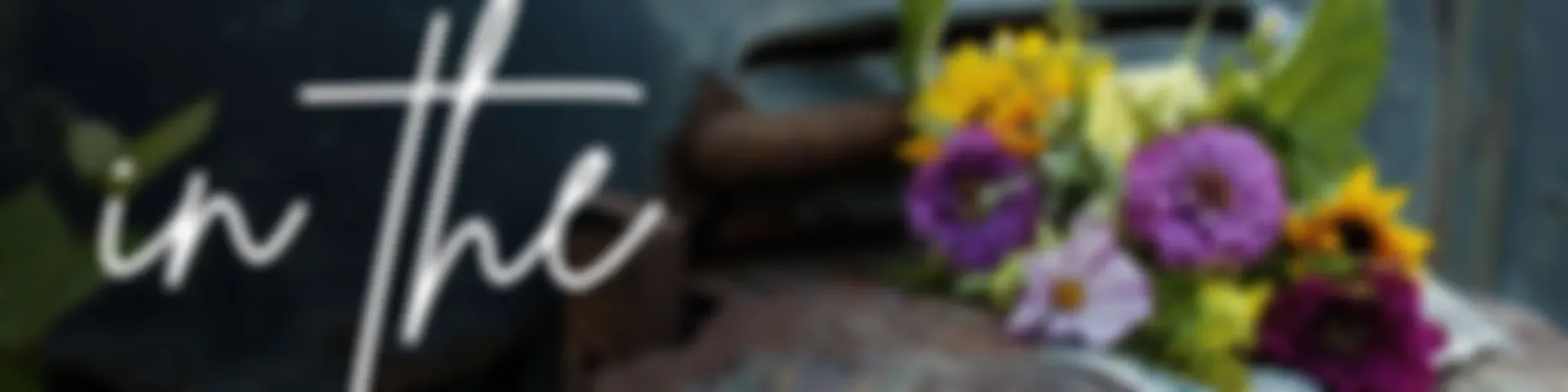 Beauty in the Brokenness- Christian Women (Bible Study, Faith, Sexuality, Freedom from Shame)