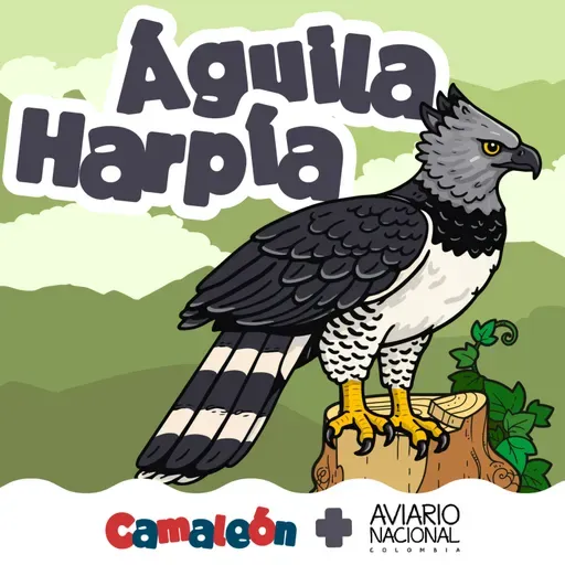 Águila Harpía: Fuerza en lo más alto