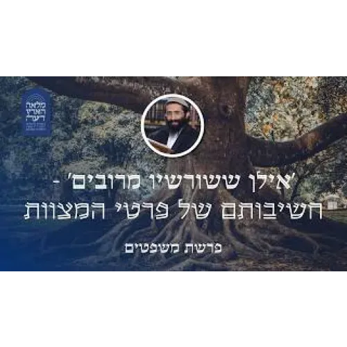 פרשת משפטים • 'אילן ששורשיו מרובים' - חשיבותם של פרטי המצוות