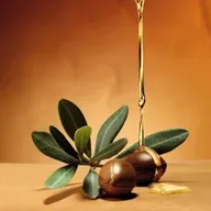 Bölüm 876: Argan yağı