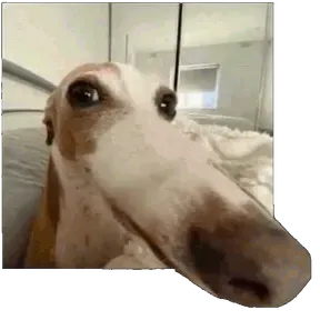 chmielny