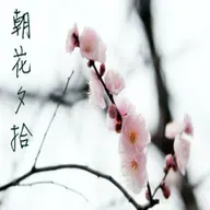 【朝花夕拾】爱的在错的时候-NJ墨离
