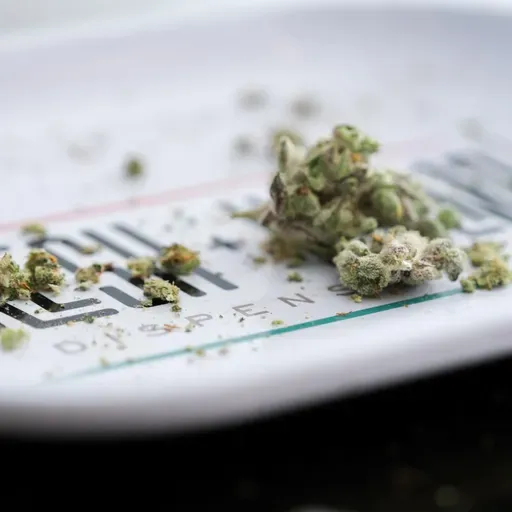 Wait, is weed legal now?