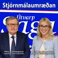 Stjórnmálaumræðan - Pétur Gunnlaugsson & Diljá Mist Einarsdóttir