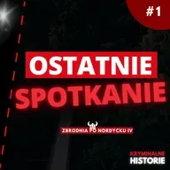 ZNIKNĘŁA PO SPOTKANIU Z BYŁYM CHŁOPAKIEM | WILMA ANDERSSON #1 | ZBRODNIA PO NORDYCKU IV