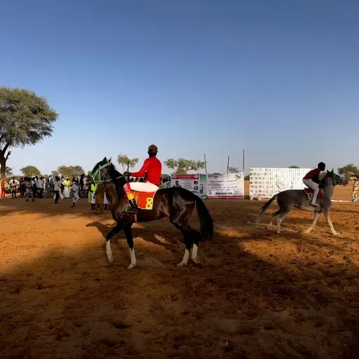 Jeunes Jokers : parcours, rôles et avantages au festival Dokin Iska (Tous à la Fada)