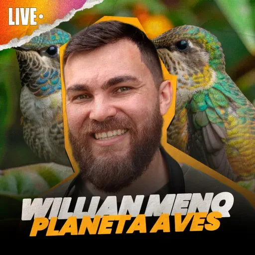 Comportamento e ecologia de aves com William Menq