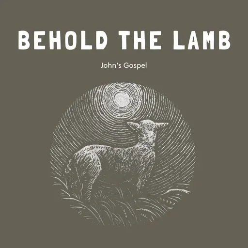 behold the lamb | Aimée Walker