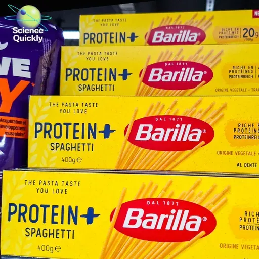 Do you actually need more protein? What the science says