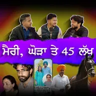 Birds, Beatings, Viral Videos & Canada Marriages 🤯 | Saade Aala Radio |