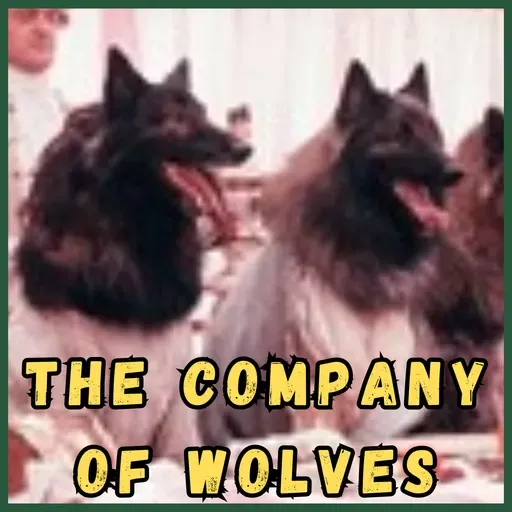 The Company of Wolves (1984) feat. Naomi Osborn