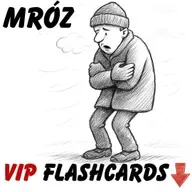 It’s Very Cold! Learn Simple Polish for Winter Small Talk