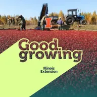 Ep. 232 The Cranberry Story: Native Roots and Modern Agriculture | #Good Growing
