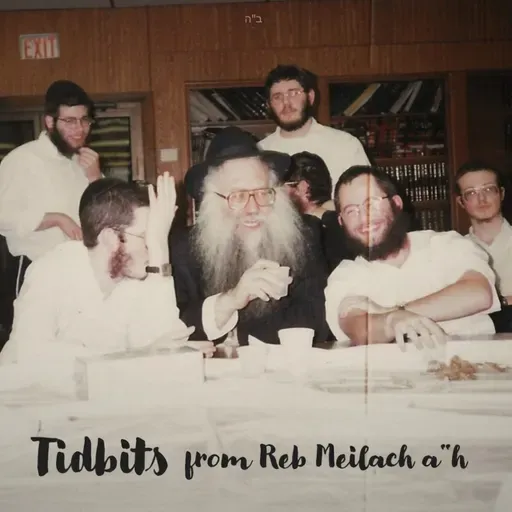 The way the Rebbe taught the Moshol