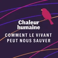 Le castor - Comment le vivant peut nous sauver (6/6)