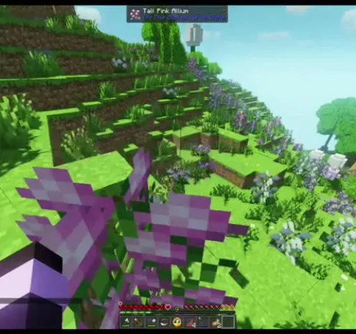 I DIDN'T SEE THE DRAGON.