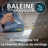 S07E36 Biomimétisme et bioinspiration 1/4 : Le charme discret des sondages... (Alain Renaudin)
