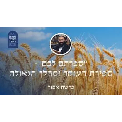 פרשת אמור • 'וספרתם לכם' - ספירת העומר ומהלך הגאולה