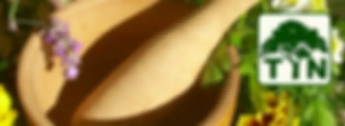 The Traditional Naturopath