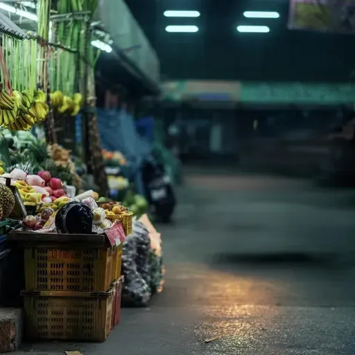 王安忆:阿芳的灯