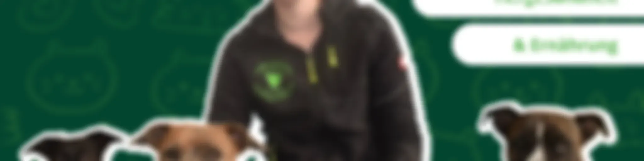 Aktive Pfötchen - der Podcast