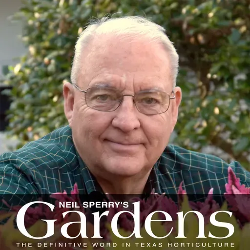 May 2, 2026 - 1PM KLIF