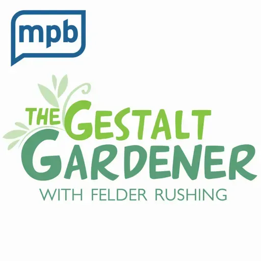 The Gestalt Gardener | Plant Swaps and Garden Centers