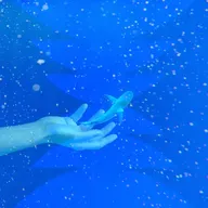 Baby Shark