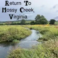 Return To Mossy Creek - Brown Trout, Terrestrials, And Hitchhikers