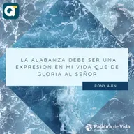 DOMINGO 25-05-2025