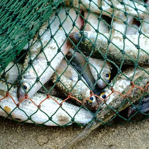 Послушание словам Господа