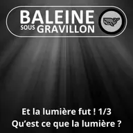 S07E40 Et la lumière fut ! 1/3... Mais au fait, qu'est-ce-que la lumière ? (Frédéric Archaux)