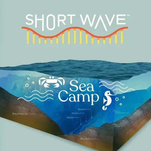 Why mapping the entire seafloor is a daunting task, but key to improving human life