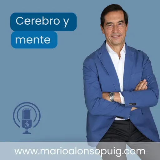 Cerebro y mente, ¿son lo mismo?