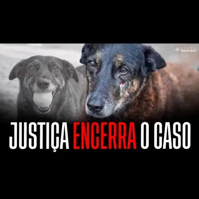 CASO ORELHA CHEGA AO FIM: VEJA O DESFECHO