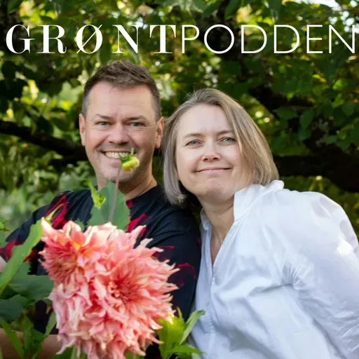 #201 Prikling, omplanting og gjødsling