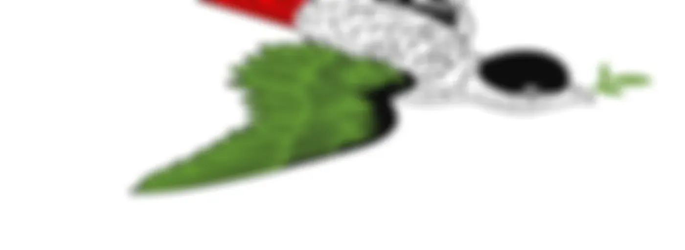 Università Estiva Ecosocialista - 1ma e 2da Edizione