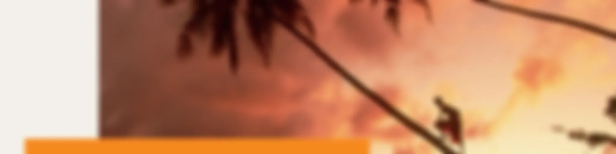 SBS Samoan - SBS Samoan