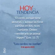 “Los cerdos no vuelan” ~ Devocional de Jóvenes ~ 2 de agosto 2025