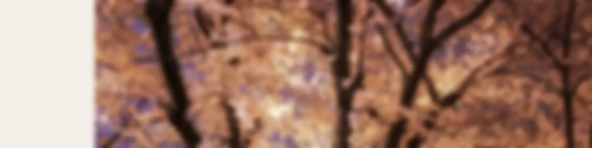 SBS Korean - SBS 한국어 프로그램