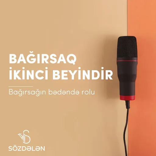 Bağırsaq ikinci beyindir | Bağırsağın bədəndə rolu | Sözdələn