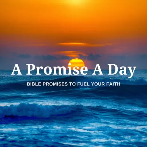 No Barriers, Just God’s Presence