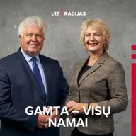 Iš vieno lizdo rudenį gali rastis net 100 naujų vapsvų motinų