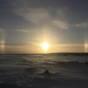 Whitestone Audio Services