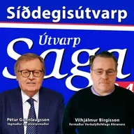 Play - Pétur Gunnlaugsson & Vilhjálmur Birgisson