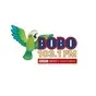 Bobo 103.1 FM