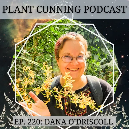 Ep. 220: Eco-Spirituality in the 21st Century with Dana O'Driscoll