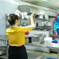 Vụ heo bệnh vào trường học và khuyến cáo từ bác sĩ về nguy cơ sức khỏe