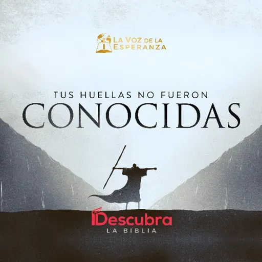 Tus huellas no fueron conocidas